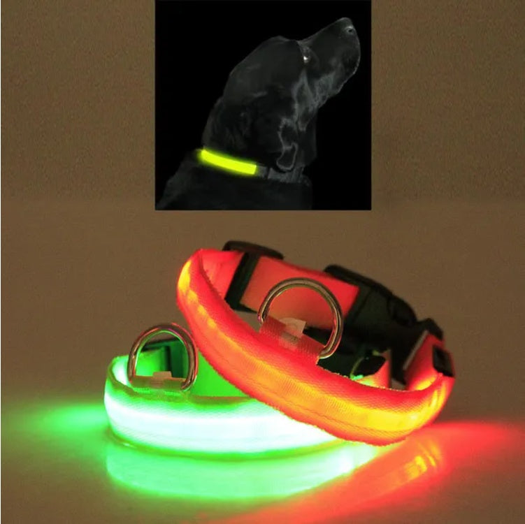 LED Halo Safety Dog Collar - USB Rechargeable
