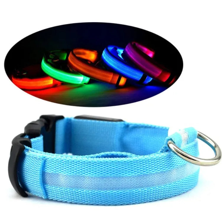 LED Halo Safety Dog Collar - USB Rechargeable