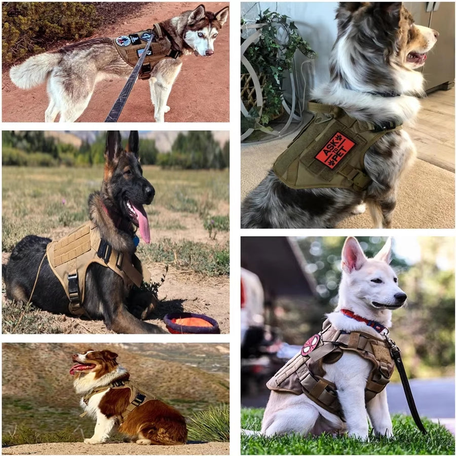 Tactical Dog Harness & Leash Set - Complete Walking Kit