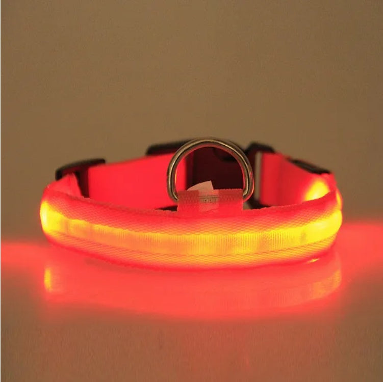 LED Halo Safety Dog Collar - USB Rechargeable