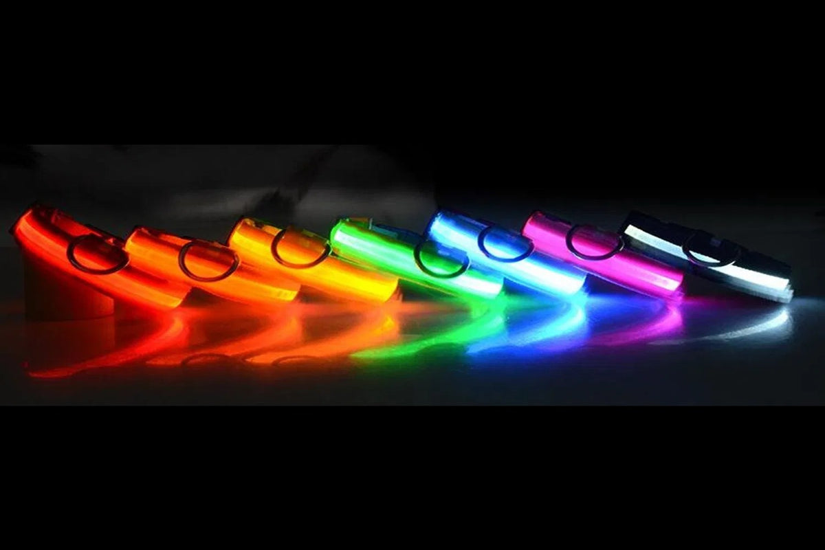 LED Light Up Dog Collar - Flashing Safety Collar